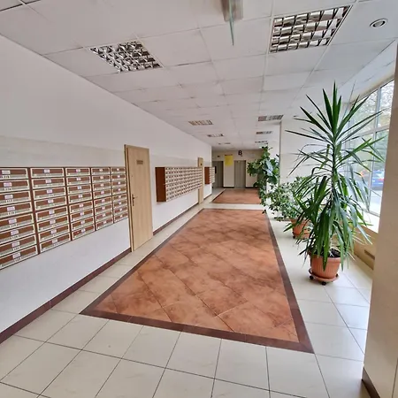 Bosa Centrum Chlodna15 Varşova