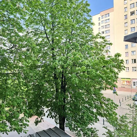 Bosa Centrum Chlodna15